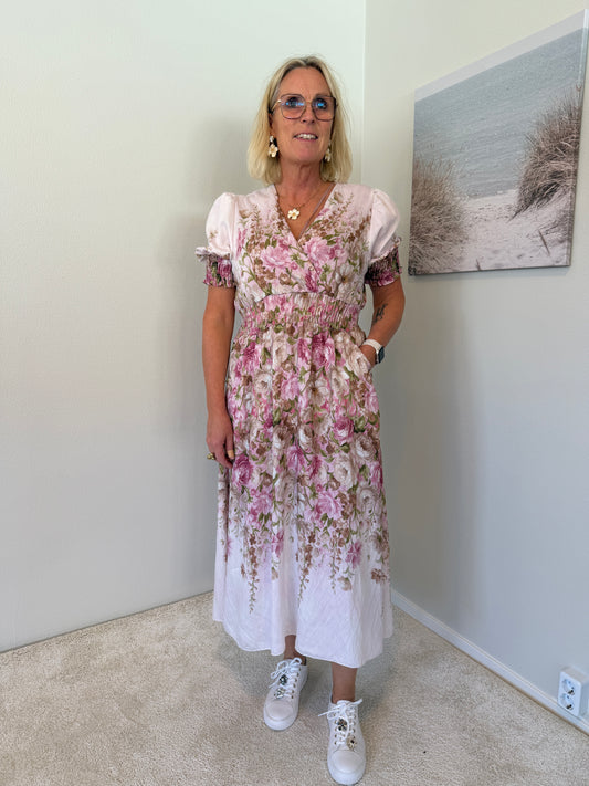 Mdclydia Dress (RosaFH2737DBR5)