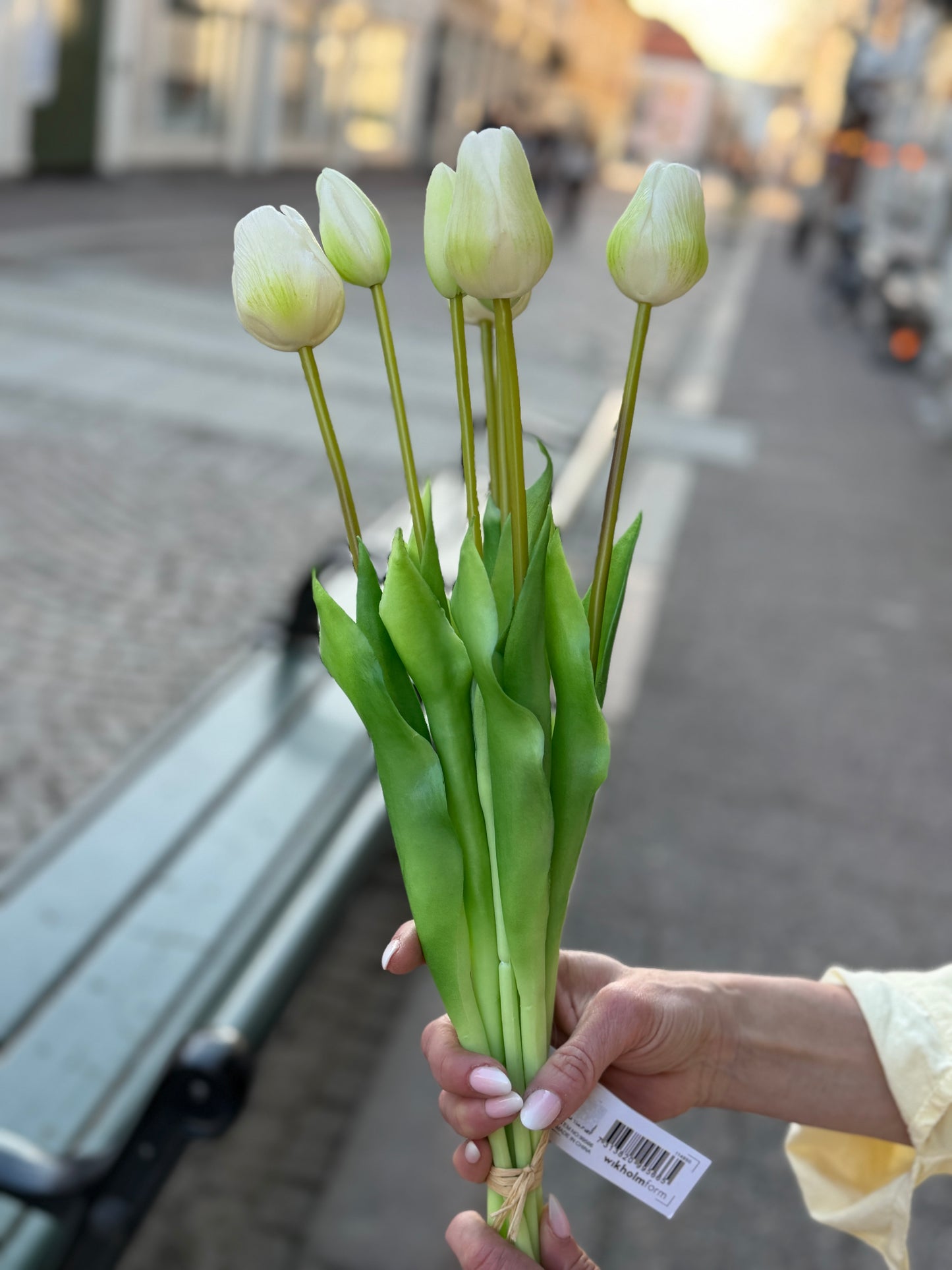 Tulpaner Bunt (Vit)