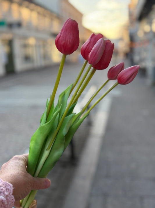 Tulpaner Bunt (Rosa)