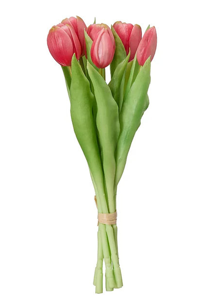 Tulpaner Bunt (Rosa)
